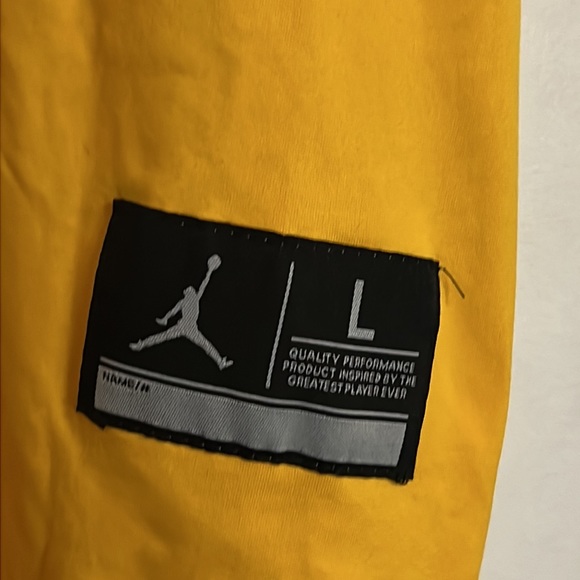 Nike Jordan Harbaugh #4 Maize Michigan Wolverines Stitched Limited Jersey Sz L - Picture 2 of 4